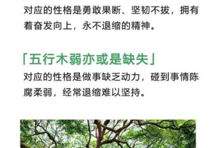 五行格局中的万字之谜:揭秘你的性格特质与改变之道