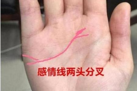 光莲命理揭秘:八字如何影响命运?能改运吗?合婚时最关键的要素是什么?
