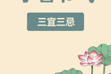 小暑：应季养生，享受夏日清凉