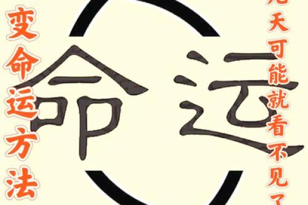 解惑命理两比肩，命运是否能通过调整改变？