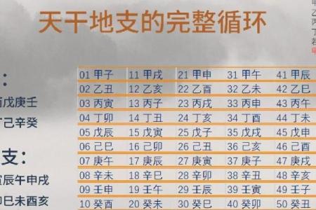 揭示八字命理真相:合婚看什么能有效改运?