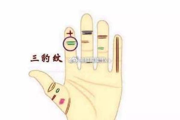 解析八字命理，喜欢豹纹是否能改变运势？