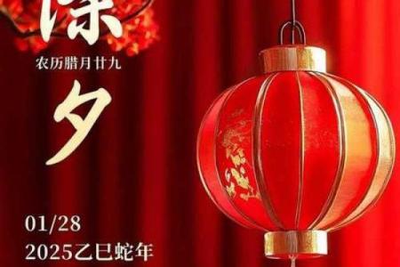 春节：辞旧迎新，传递吉祥文化
