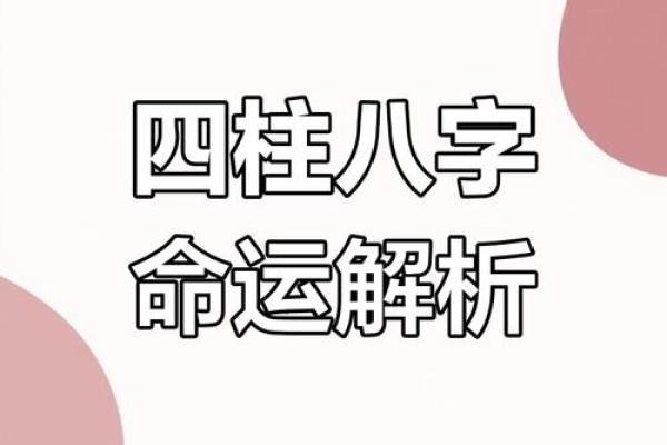 理数影响命运，解析八字如何帮助你发现潜力