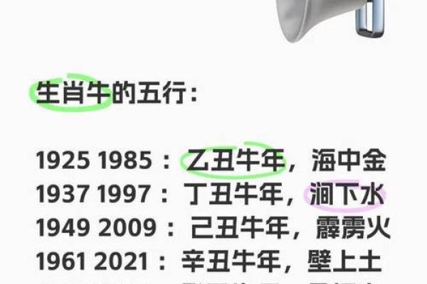 生肖五行格局重塑指南：实用技巧助你改变命运