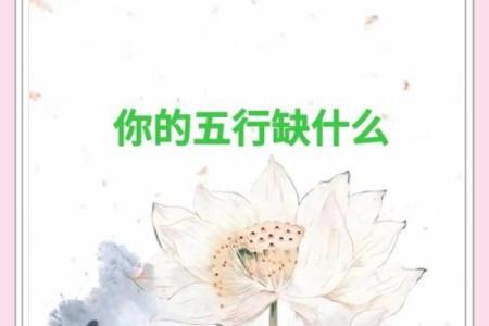珞五行颠覆传统：揭秘性格解析中的五大误区，反而助你提升运势