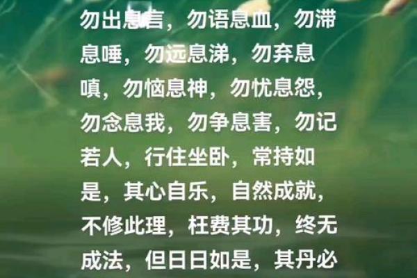 佛诞：传承佛教文化，感悟生命智慧