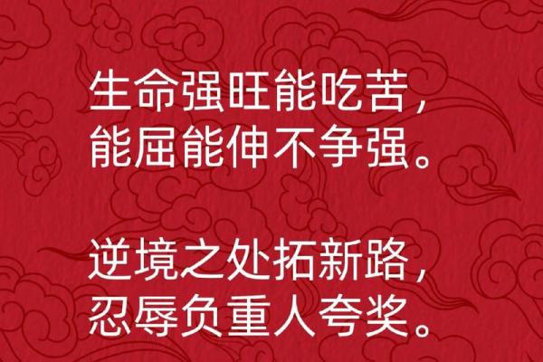 误区破除五行格局解析，教你如何成为更优秀的司机