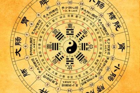五行格局巧运用：缺金女孩如何打造完美人生？