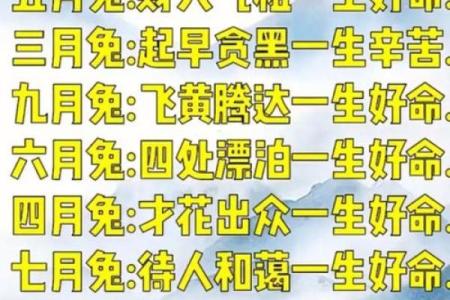 解析好命女人的八字，如何通过合婚找到命运的契机？