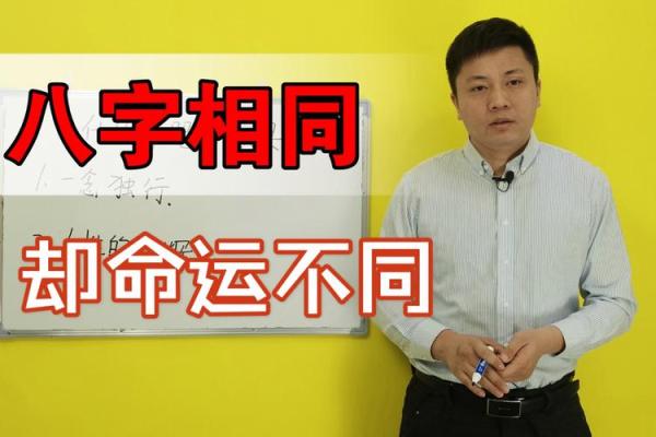 刘嘉玲八字命理解析：如何通过合婚看命运的不同