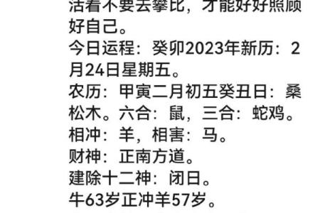 刘嘉玲八字命理解析:如何通过合婚看命运的不同