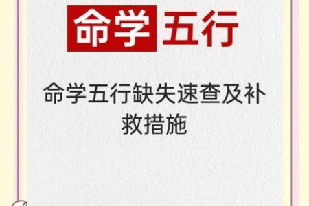 五行性格解析误区大揭秘：原来这样才是真正的你