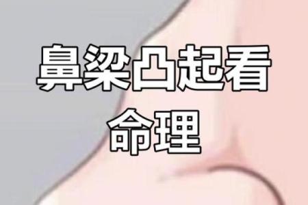 命理带阳山,命运不同如何影响婚姻与事业?