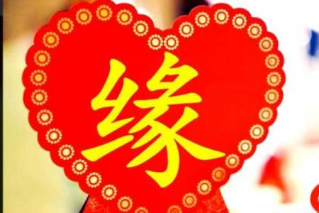 揭秘八字命理:合婚要看什么?为什么每个人的命运如此不同