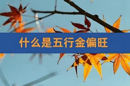 性格解析：蓝五行格局，揭开你内心的蓝色奥秘