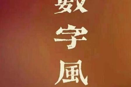 数字命理中的奥秘解析:能改运吗?合婚如何影响命运?