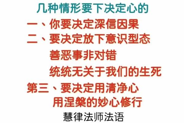 法华节：感恩佛恩，传递心灵养生