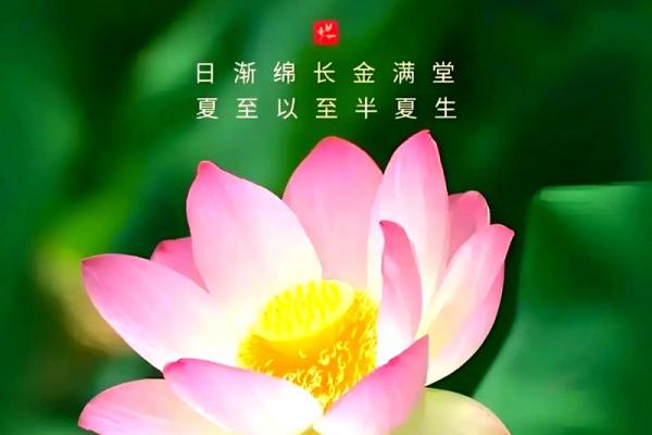 夏至：阳光炙热，体验自然养生智慧