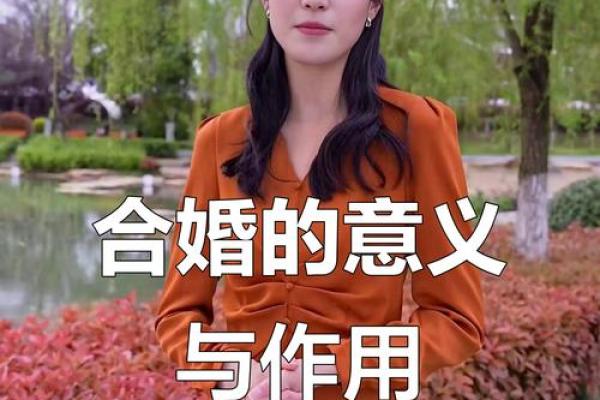 深入解析命理与合婚：如何改运？不同命运如何应对？