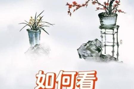 命理宝鉴下载：揭秘八字命理如何影响命运，合婚关键要看什么