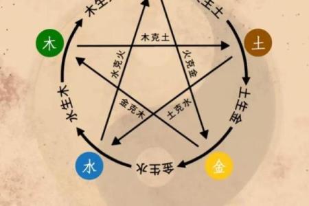 性格解析：枸字五行揭秘，如何塑造最佳人生格局？