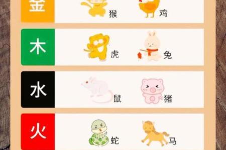 揭秘木鼠五行：性格解析中的误区与如何反而提升运势