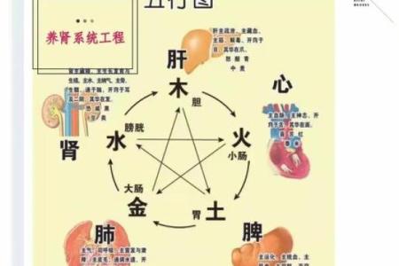 吴的五行性格解析：摆脱误区，找到提升自我的关键