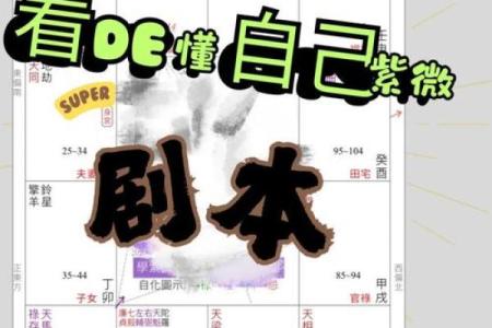 解析命运不同的原因,命理师如何破解你的命运密码