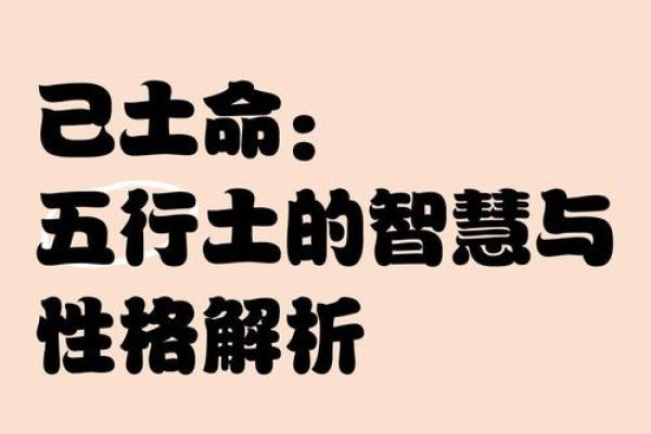辛亥五行性格重塑:改变命运,从了解自己开始 辛亥五行性格重塑:改变命运,从了解自己开始