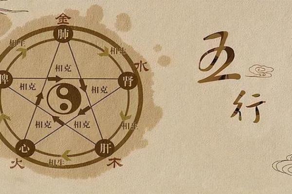 命理阳过盛如何改变人生轨迹揭秘