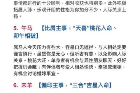 合婚看什么？揭秘不能喝酒的命理与运势的关系