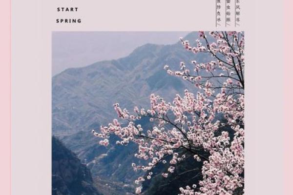 立春：春回大地，养生迎新气象