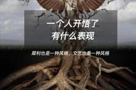 五行格局的误区与真相：反而让你更了解自己