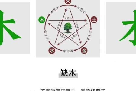 颠覆传统五行格局：揭秘性格解析的全新解读方法