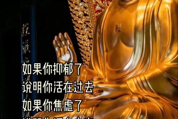 佛诞:感悟慈悲与智慧,弘扬佛教文化 佛诞:感悟慈悲与智慧,弘扬佛教文化