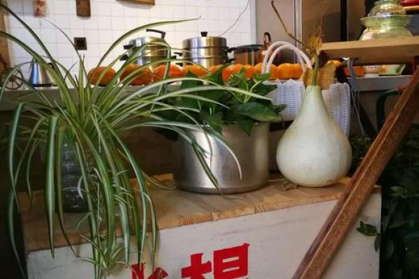 黄道节,感悟自然变迁与生命奥秘 黄道节,感悟自然变迁与生命奥秘