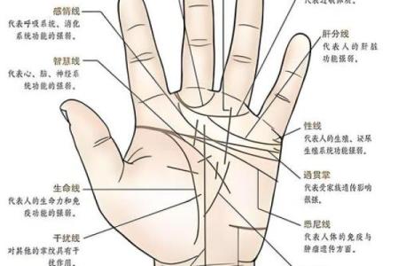 揭秘手背痣命理的奥秘:能改变命运吗?看合婚如何影响婚姻?