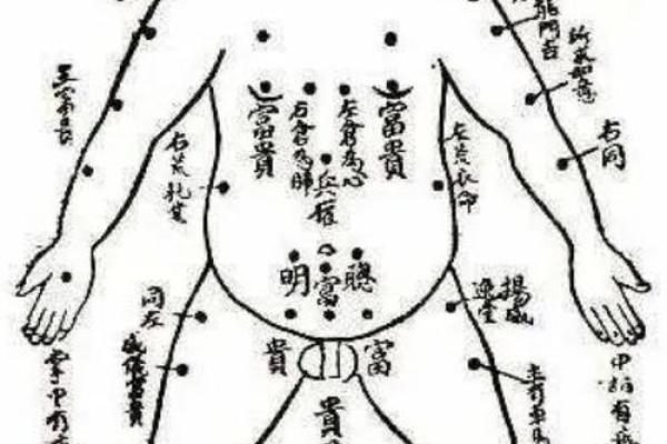 痦子命理图深度解析:命运不尽相同,合婚时如何运用痦子知识 痦子命理图深度解析:命运不尽相同,合婚时如何运用痦子知识