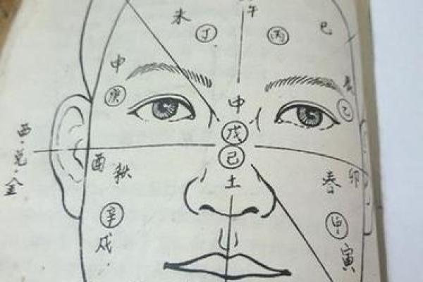 痦子命理图深度解析:命运不尽相同,合婚时如何运用痦子知识 痦子命理图深度解析:命运不尽相同,合婚时如何运用痦子知识