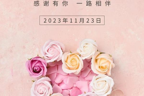 感恩节:共享丰收,传递感恩文化 感恩节:共享丰收,传递感恩文化