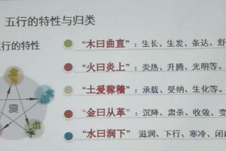 蔡五行格局颠覆性解读：揭秘性格密码，如何逆势而上？