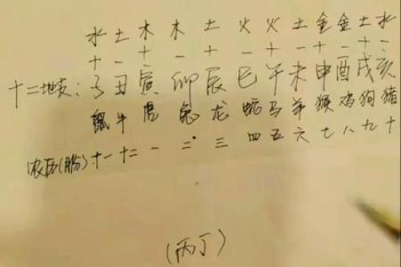 生肖背后的秘密：如何利用五行格局调整运势