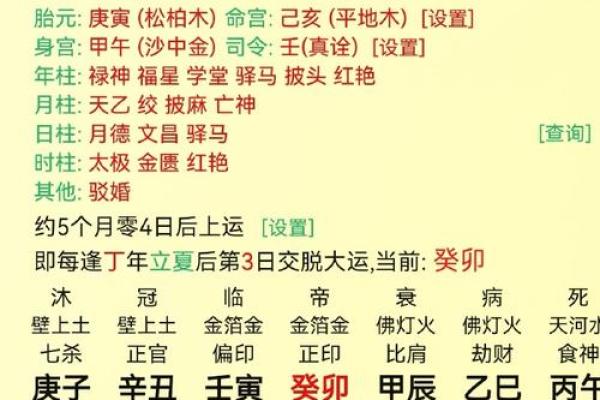 辛亥时命理揭秘:能改运吗?合婚时需看哪些要素? 辛亥时命理揭秘:能改运吗?合婚时需看哪些要素?