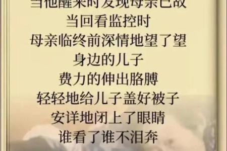 文化传承，感悟母亲的伟大与无私