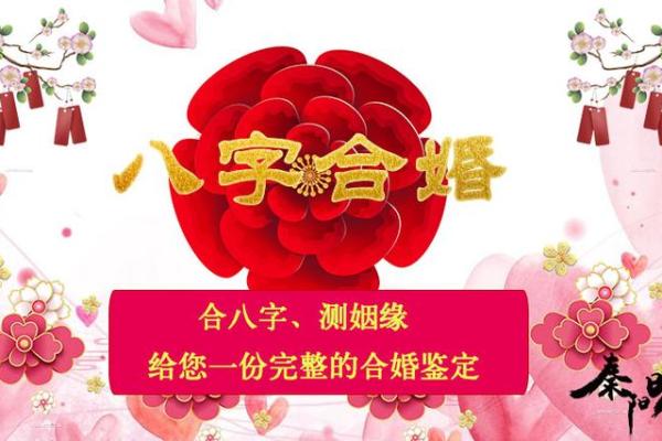 紫字命理揭秘:能改运吗?如何看合婚与命运不同的秘密 紫字命理揭秘:能改运吗?如何看合婚与命运不同的秘密