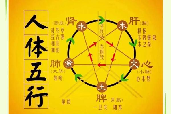 五行格局颠覆性解析：你的性格反而能这样改？