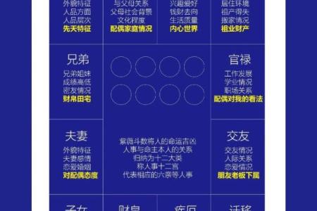 紫字命理揭秘：能改运吗？如何看合婚与命运不同的秘密