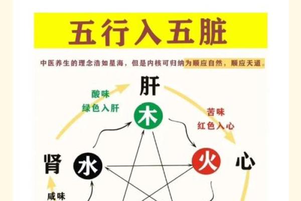 五行格局揭秘:苏五性格解析,如何洞察内在潜能? 五行格局揭秘:苏五性格解析,如何洞察内在潜能?