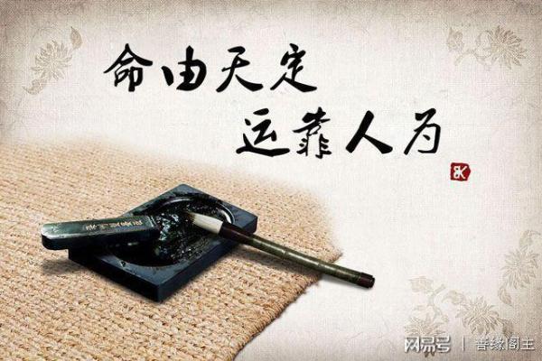 少白头与命理:能改运吗?揭秘命运的关键因素 少白头与命理:能改运吗?揭秘命运的关键因素